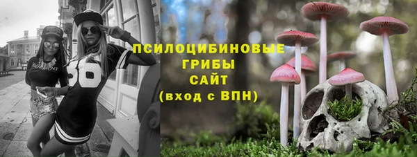 ALPHA-PVP Осинники