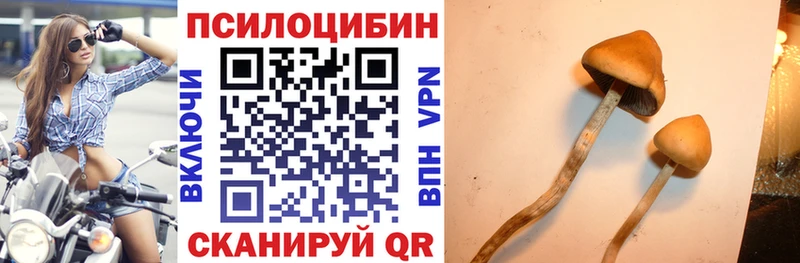 Галлюциногенные грибы ЛСД  Свободный 