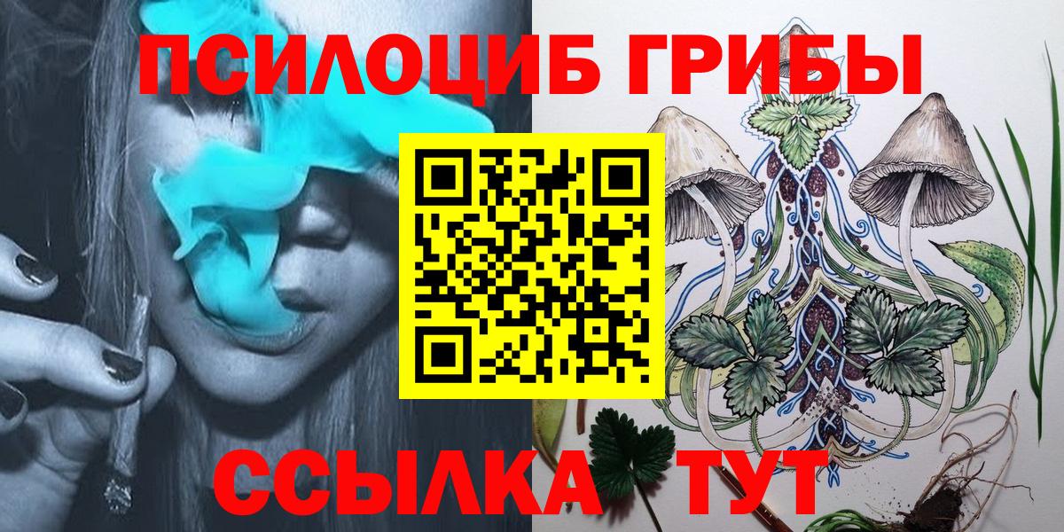 Псилоцибиновые грибы Cubensis Свободный