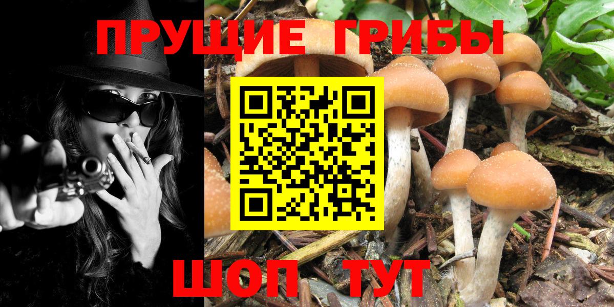 Псилоцибиновые грибы прущие грибы  Галлюциногенные грибы ЛСД  Свободный  Вход с VPN 