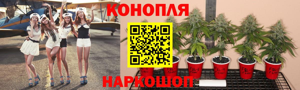 Свободный  МАРИХУАНА AK-47  Шишки марихуана план  Вход с VPN  Каннабис Amnesia 